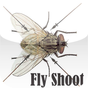 Fly Shoot